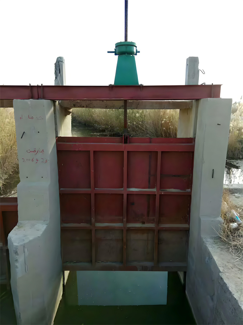 ƽ���T�F�l�T